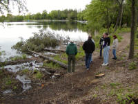 Commissioners viewing the trees felled for access to the shoreline and habitat.